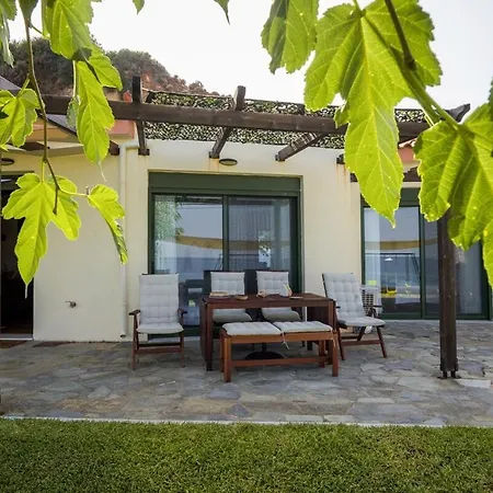 Orianthi's Beachfront Feriehus Skala (Kefalonia)